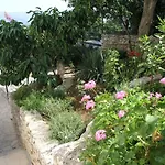 Apartment Zuzul -